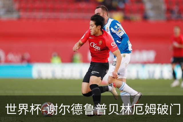 世界杯-谢尔德鲁普贝林厄姆破门 挪威1-1英格兰进加时
