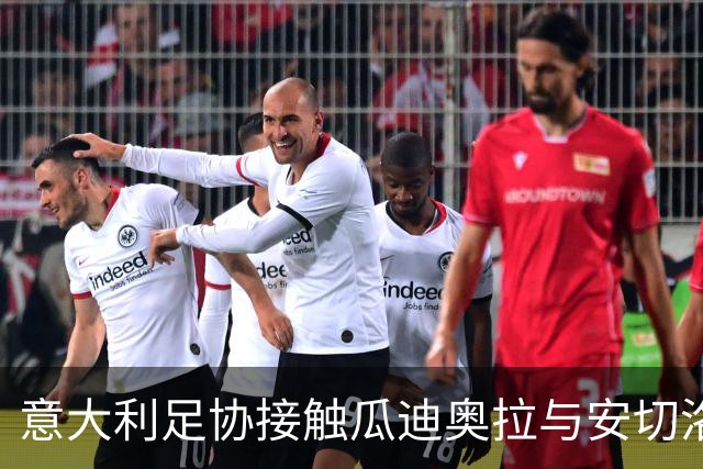 意大利足协接触瓜迪奥拉与安切洛蒂 马尔蒂尼确认选帅进展