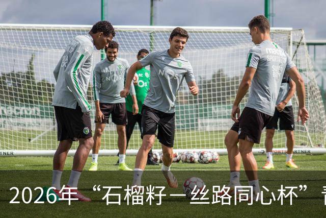 2026年“石榴籽－丝路同心杯”青少年足球邀请赛即将开赛